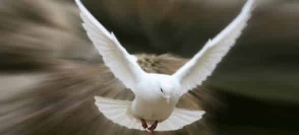 Дух Святой в виде голубя